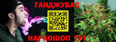 гашик Кингисепп