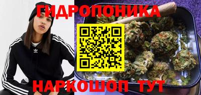 ПСИЛОЦИБИНОВЫЕ ГРИБЫ Канаш